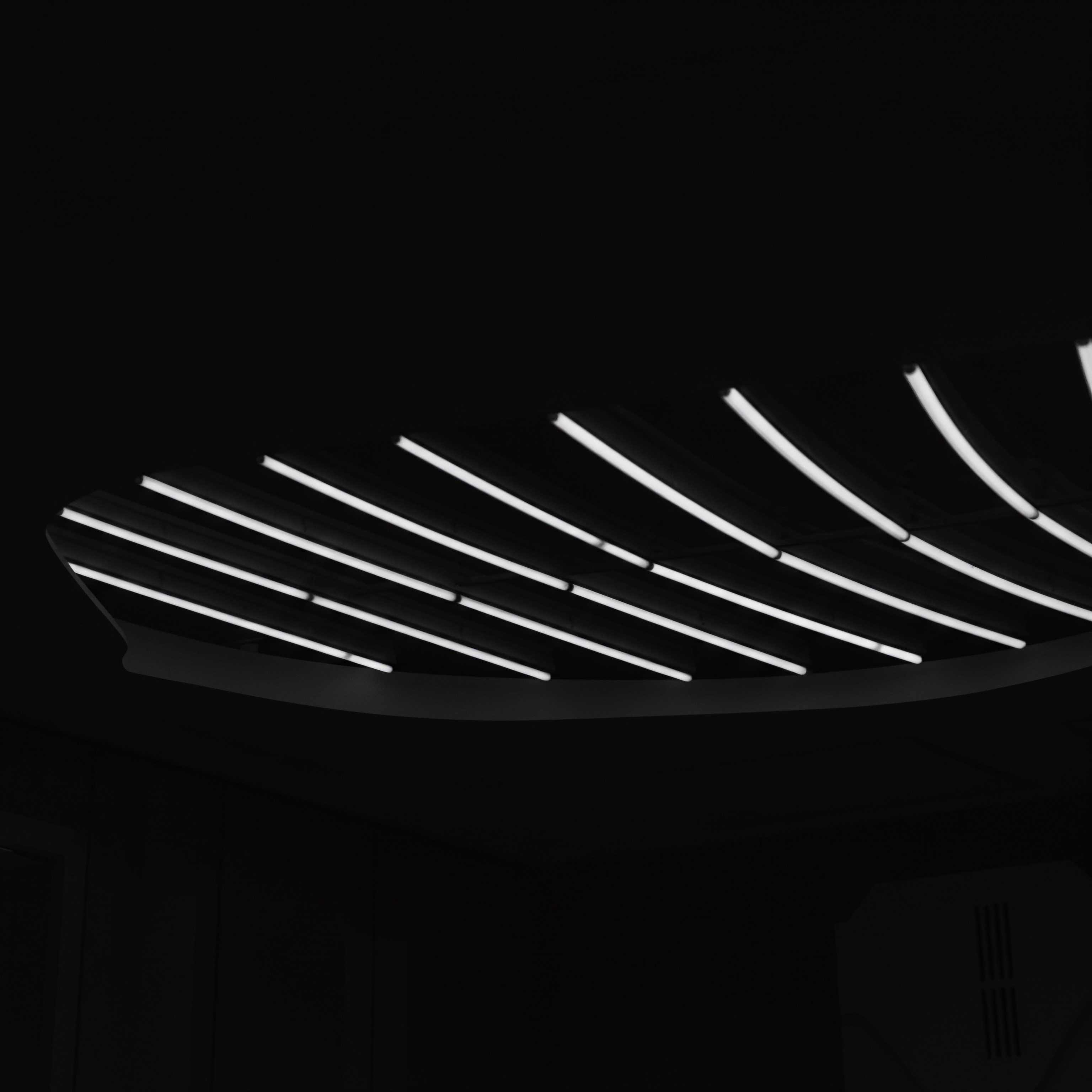A monochromatic ceiling detail presents an array of linear lights, sharply contrasting against the dark background, creating a visually striking pattern. The strategic lighting resembles a plan coming to light for entrepreneurs and the SMB sector, as each beam might represent a facet of digital transformation and process automation to promote scaling. The overall design communicates innovation and business development through technology adoption. This symbolizes workflow optimization with software solutions and the kind of innovation needed for startups, Main Street Businesses and family businesses to streamline operations, seek expansion and improve efficiency, increasing productivity and market share, fostering customer loyalty, improving data analytics and the overall customer experience.