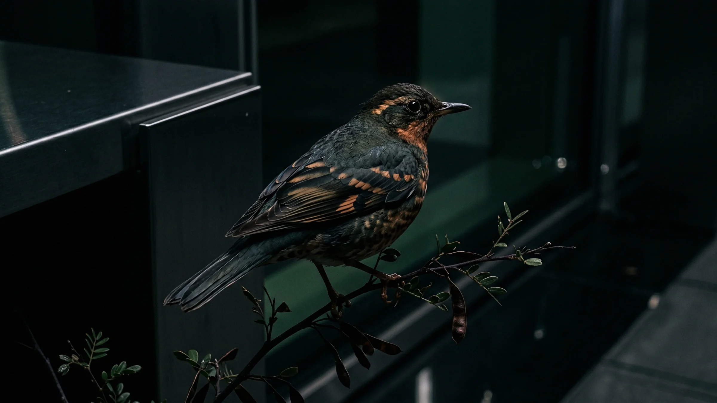 A small bird with a speckled orange breast stands on a thin leafy twig in front of dark glass.