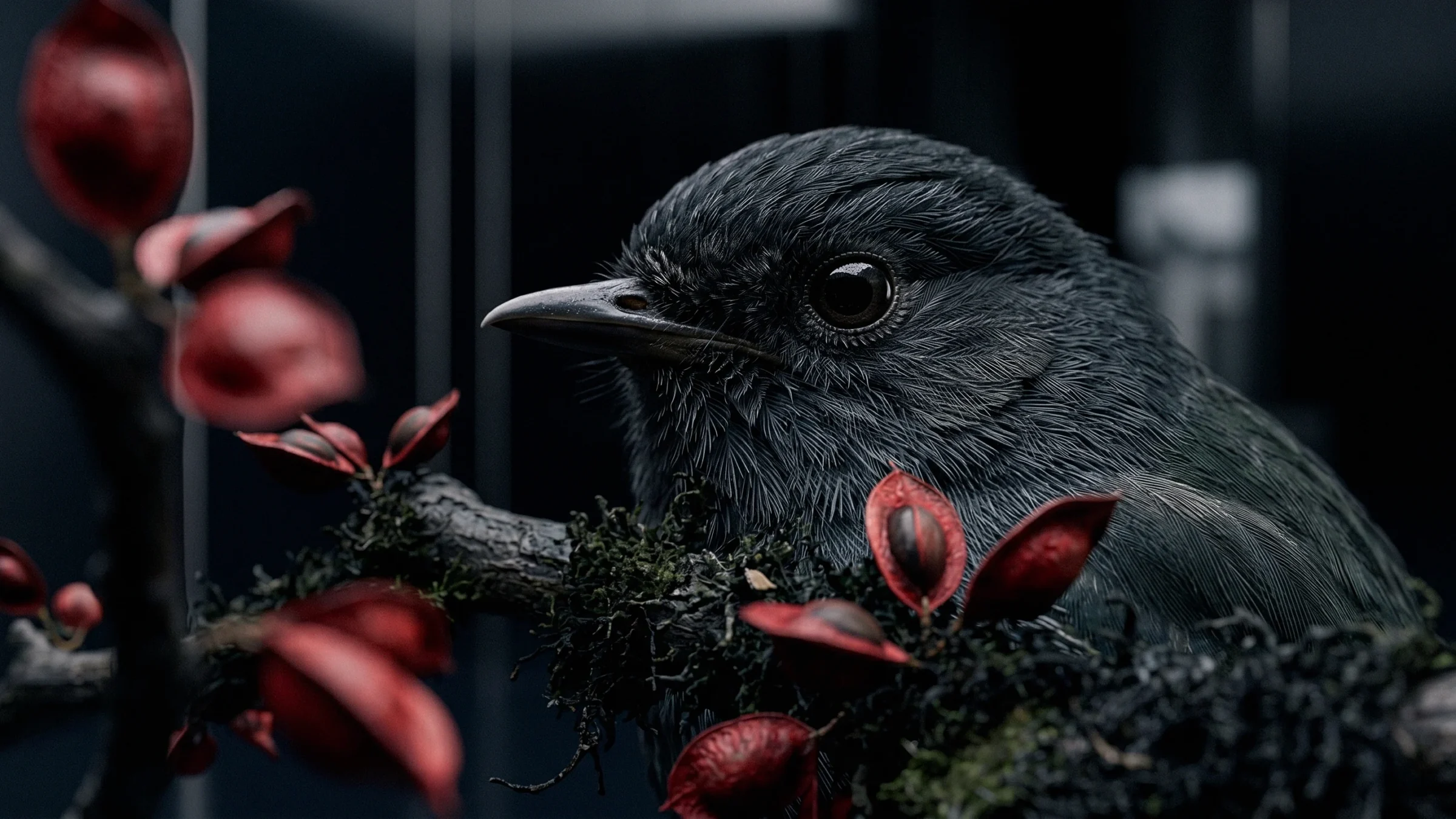 A gray bird looks out from behind a mossy branch hung with open red seed pods.