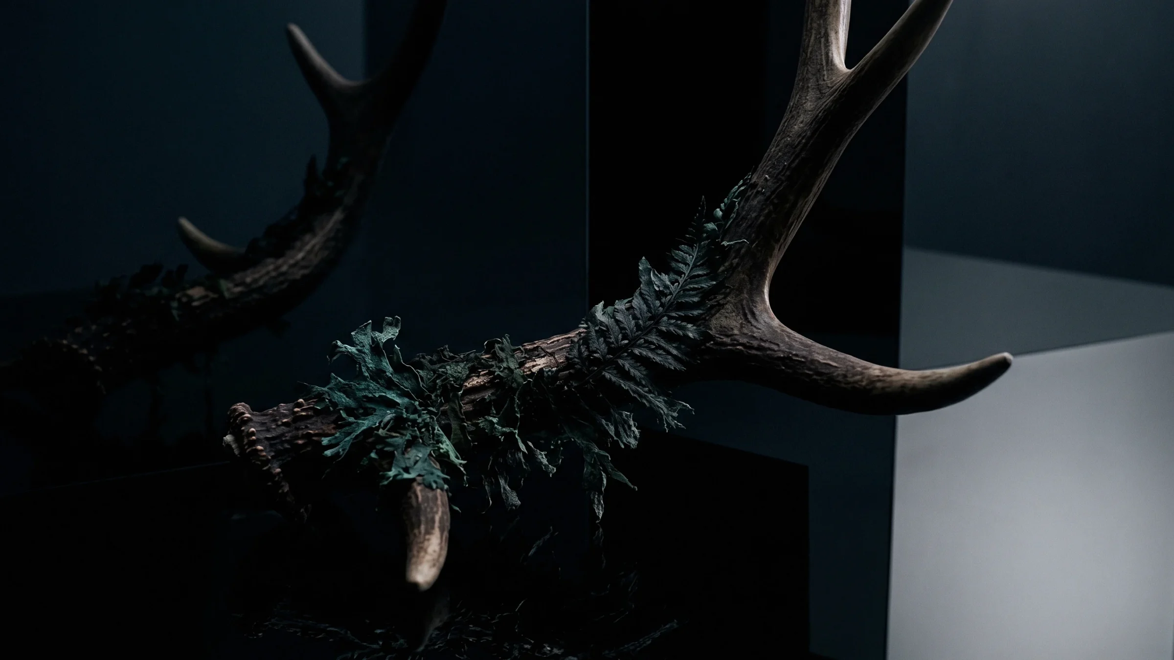 A pair of antlers wrapped in small ferns and lichen, beside a steel panel.
