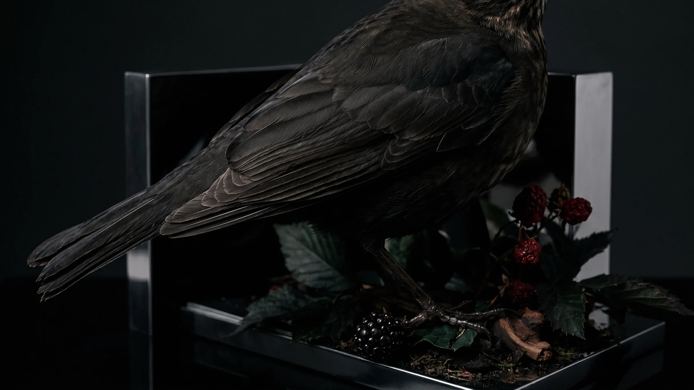 A brown bird stands over a steel tray of bramble leaves and ripe blackberries.