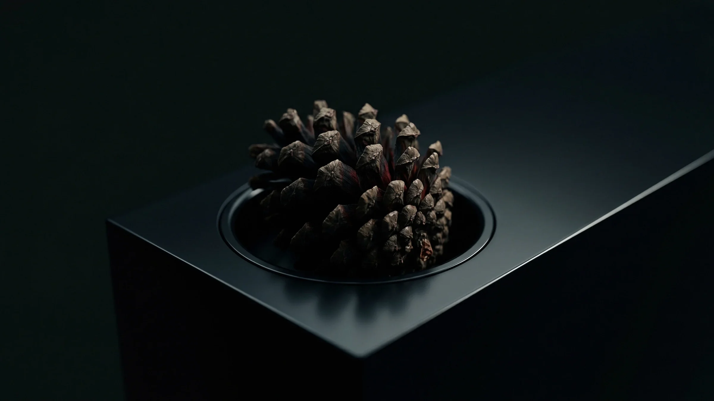 A pine cone sits in a round recess cut into a dark metal block.