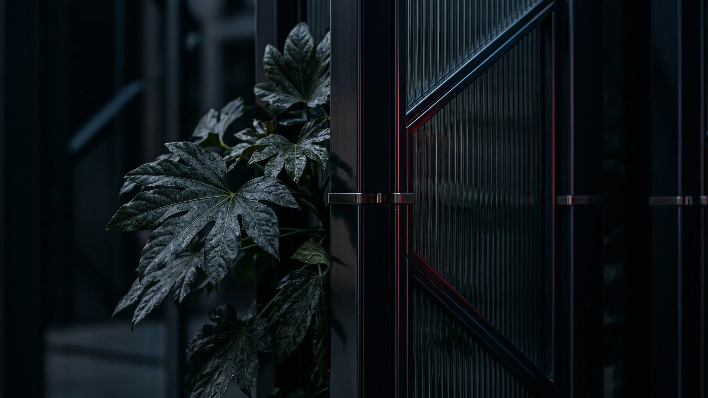 Large lobed leaves grow up beside a steel door with ribbed glass panes.