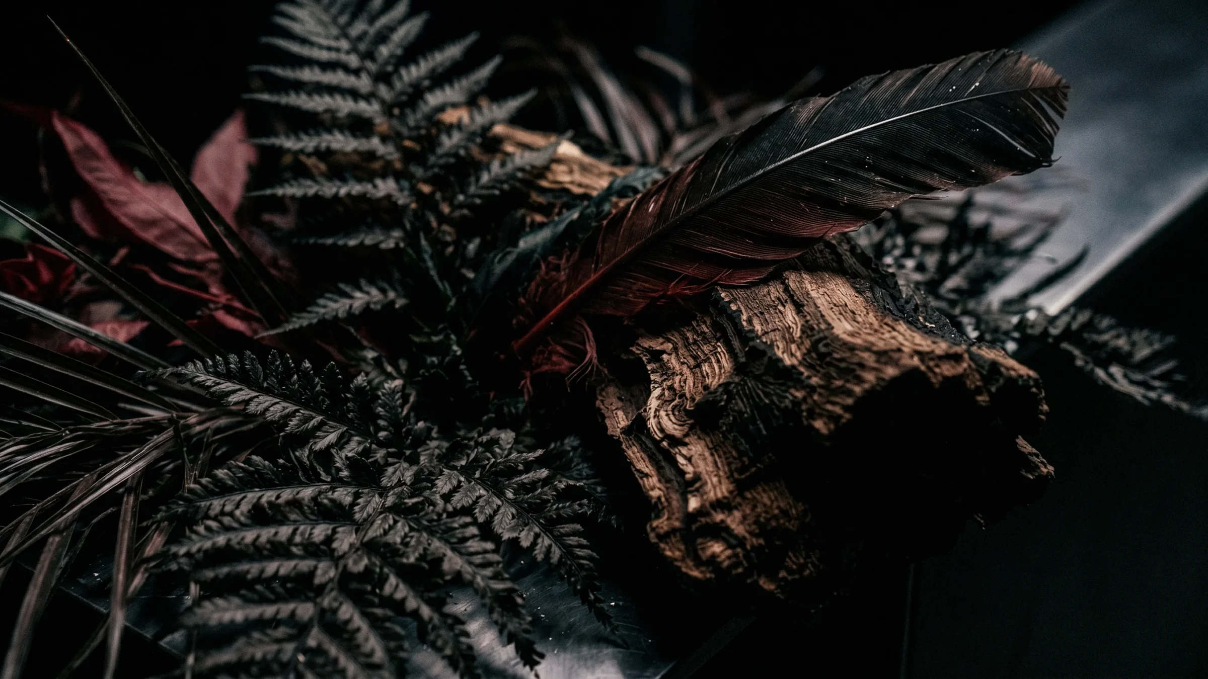 Fern fronds, a dark red feather and a lump of bark laid together on a steel edge.