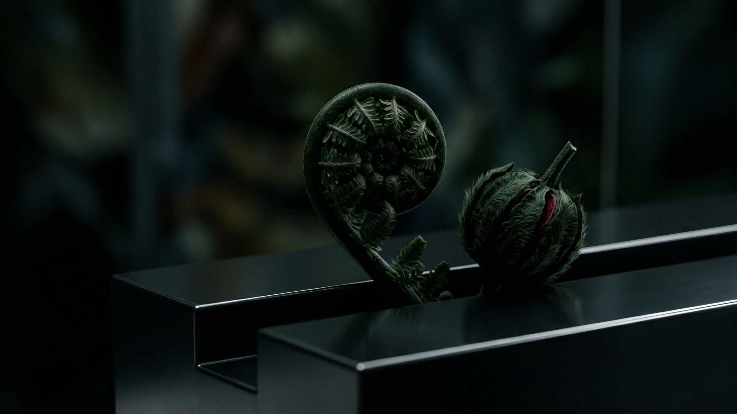 A coiled fern fiddlehead and a round green bud stand side by side on a folded steel ledge.
