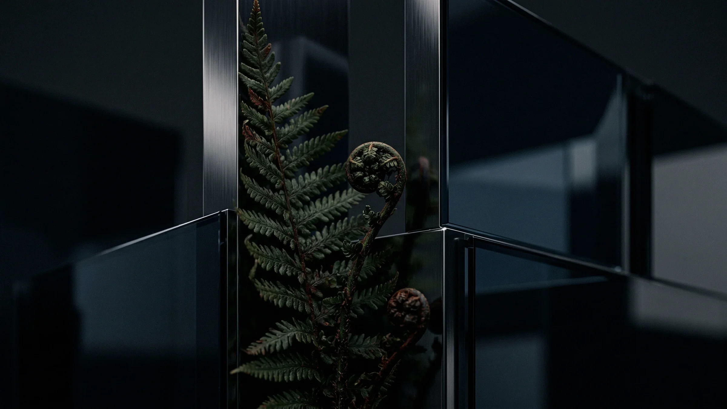 A fern frond and two small fiddleheads grow up the steel post of a glass corner.