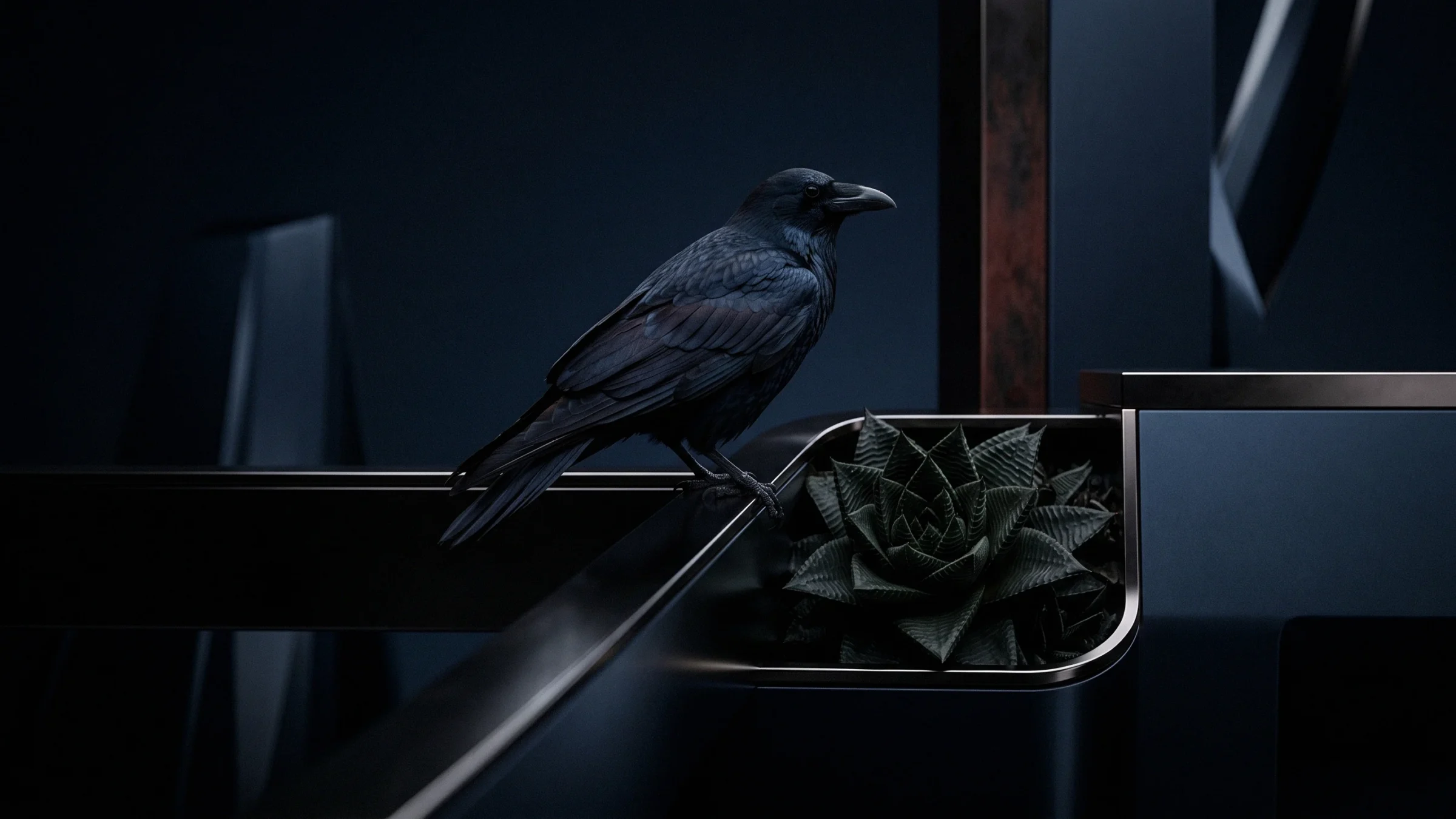 A crow stands on a steel rail above a small planter holding a spiky succulent.