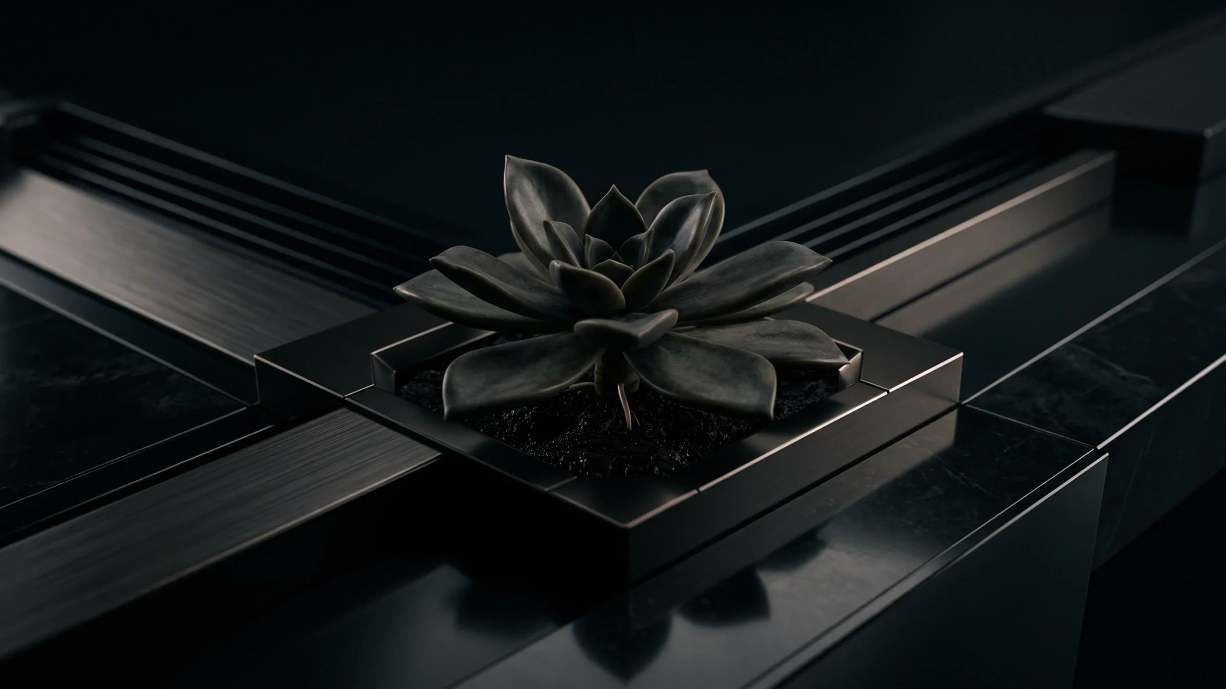 A gray-green succulent rosette planted in a square steel block on a metal surface.