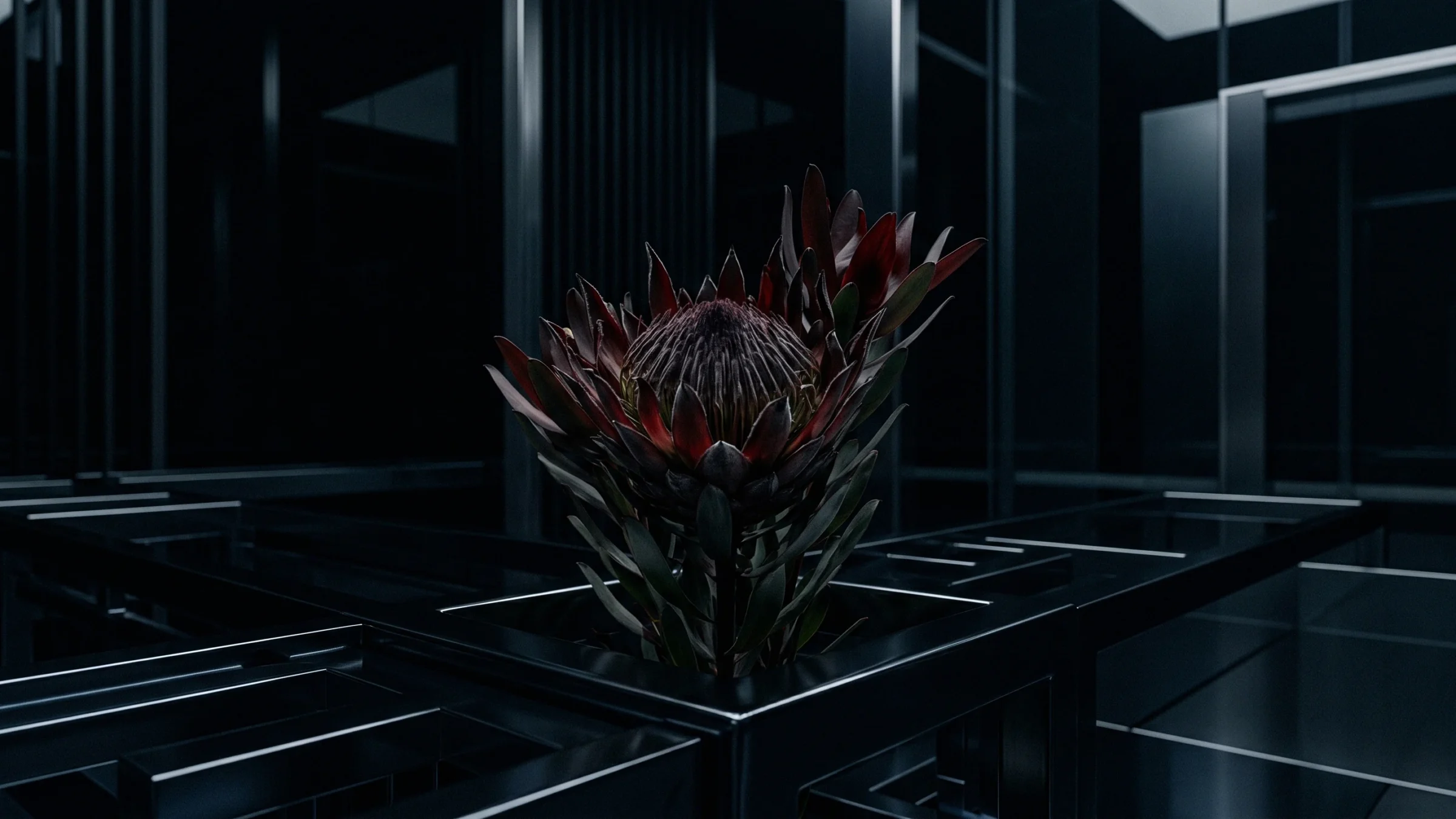 An open red protea stands on a steel block inside a grid of dark metal bars.