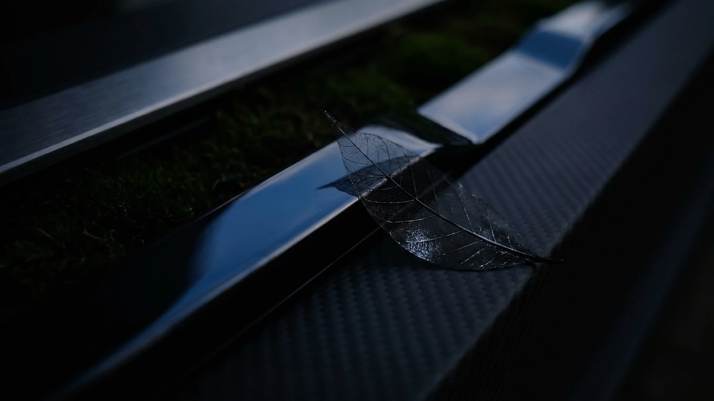 A see-through skeleton leaf lies on a woven carbon rail, with moss in the channel beside it.