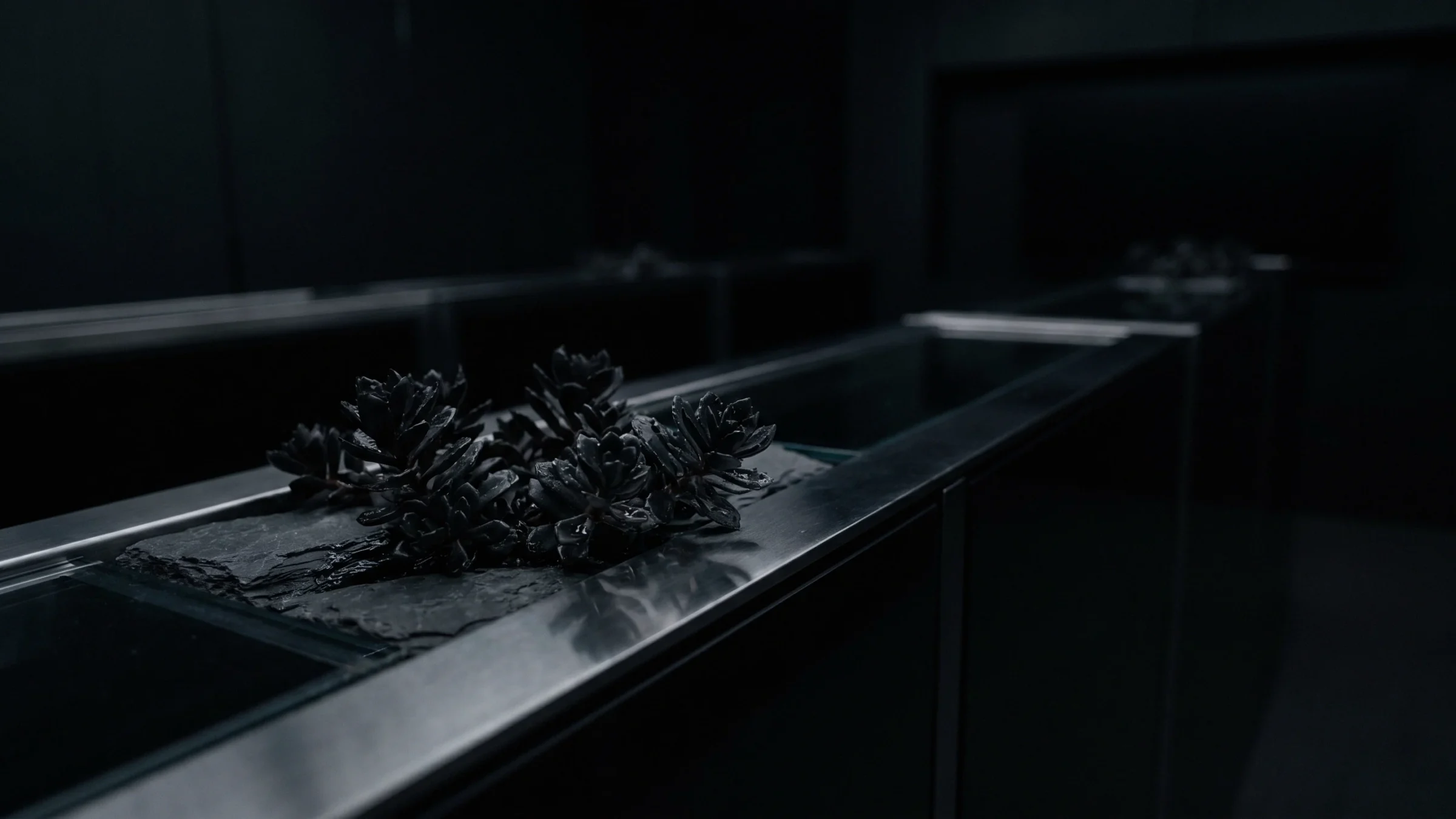 A row of small, nearly black rosettes set on slate along a steel and glass counter.