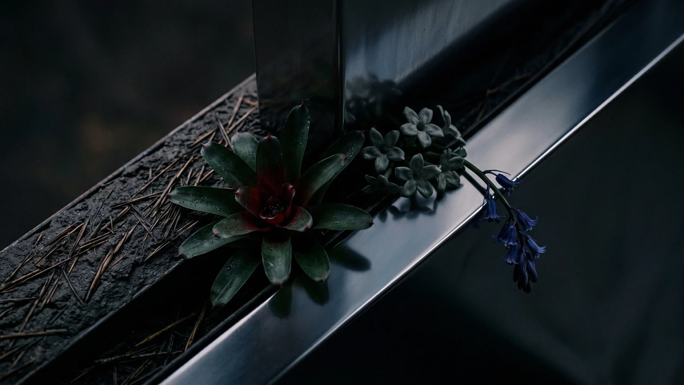 A green rosette with a red heart, a gray succulent and a bluebell grow where bark meets a steel rail.