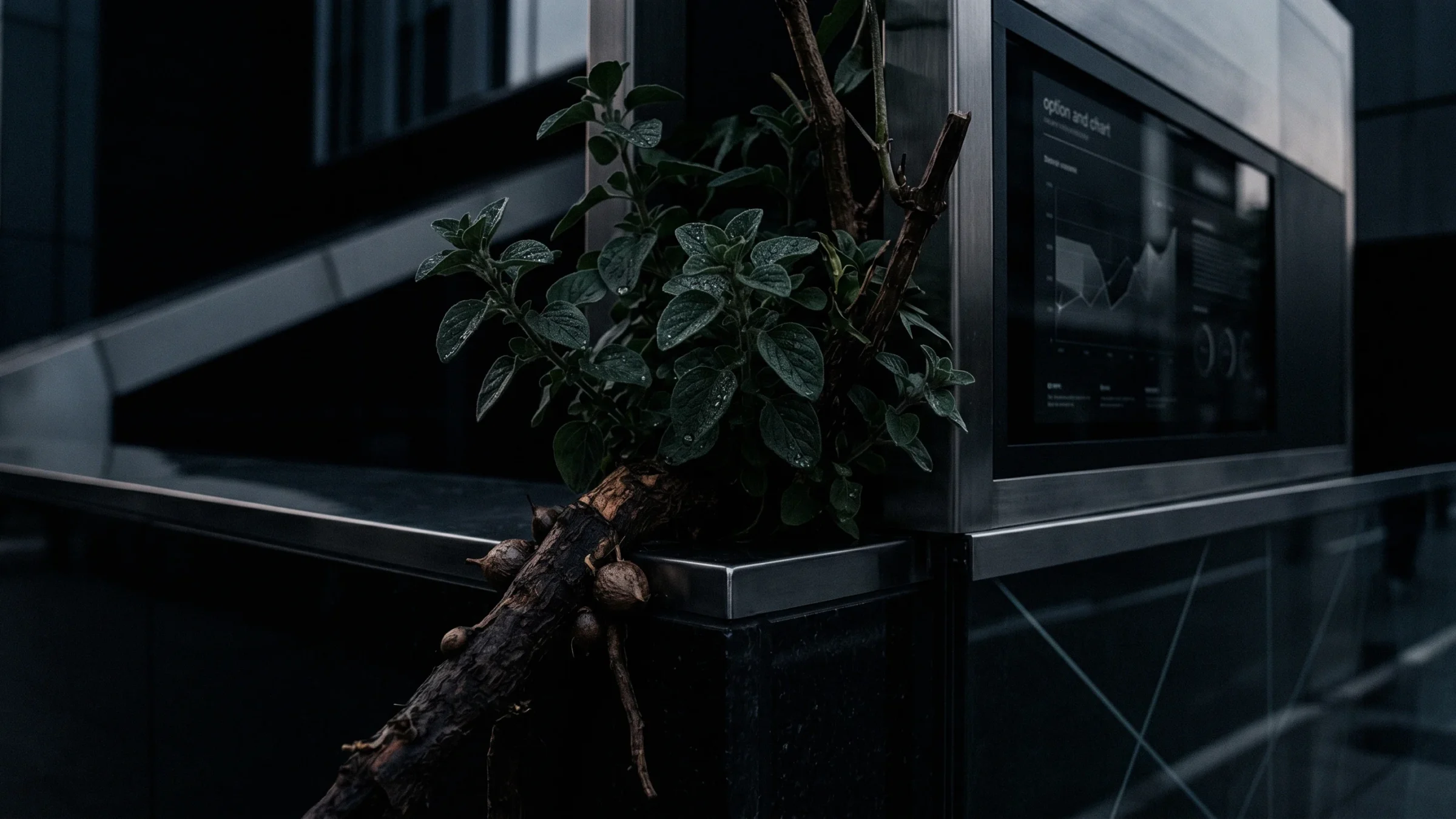 A leafy plant grows from a knotted root on a steel ledge, beside a wall screen showing charts.