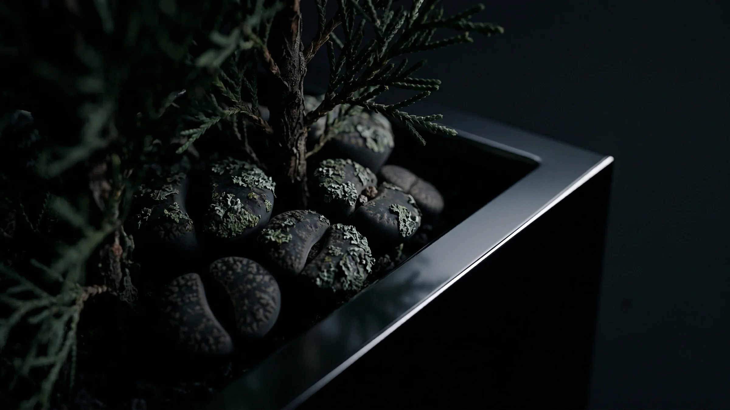 Round, lichen-spotted stone plants and conifer sprigs fill the corner of a steel planter.