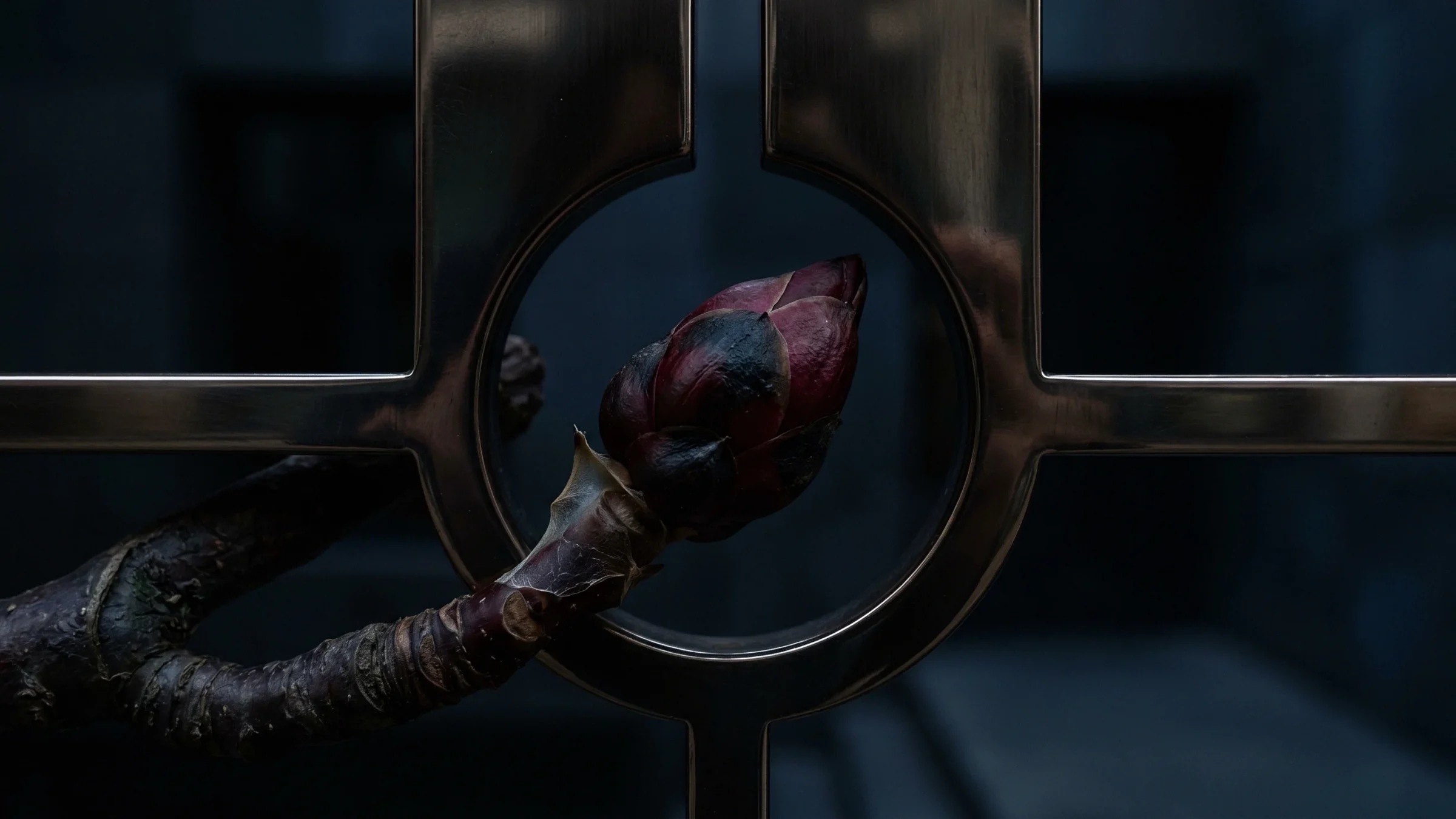 A red and green bud on a dark stem reaches into the ring at the center of a metal cross frame.