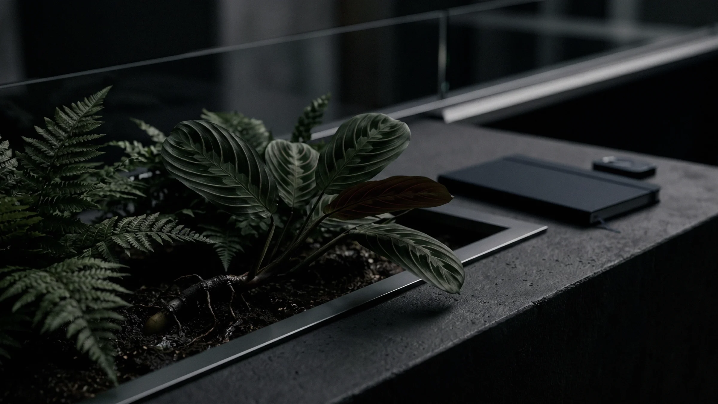 Ferns and a plant with striped leaves grow in a channel cut into a stone block, with a phone lying nearby.