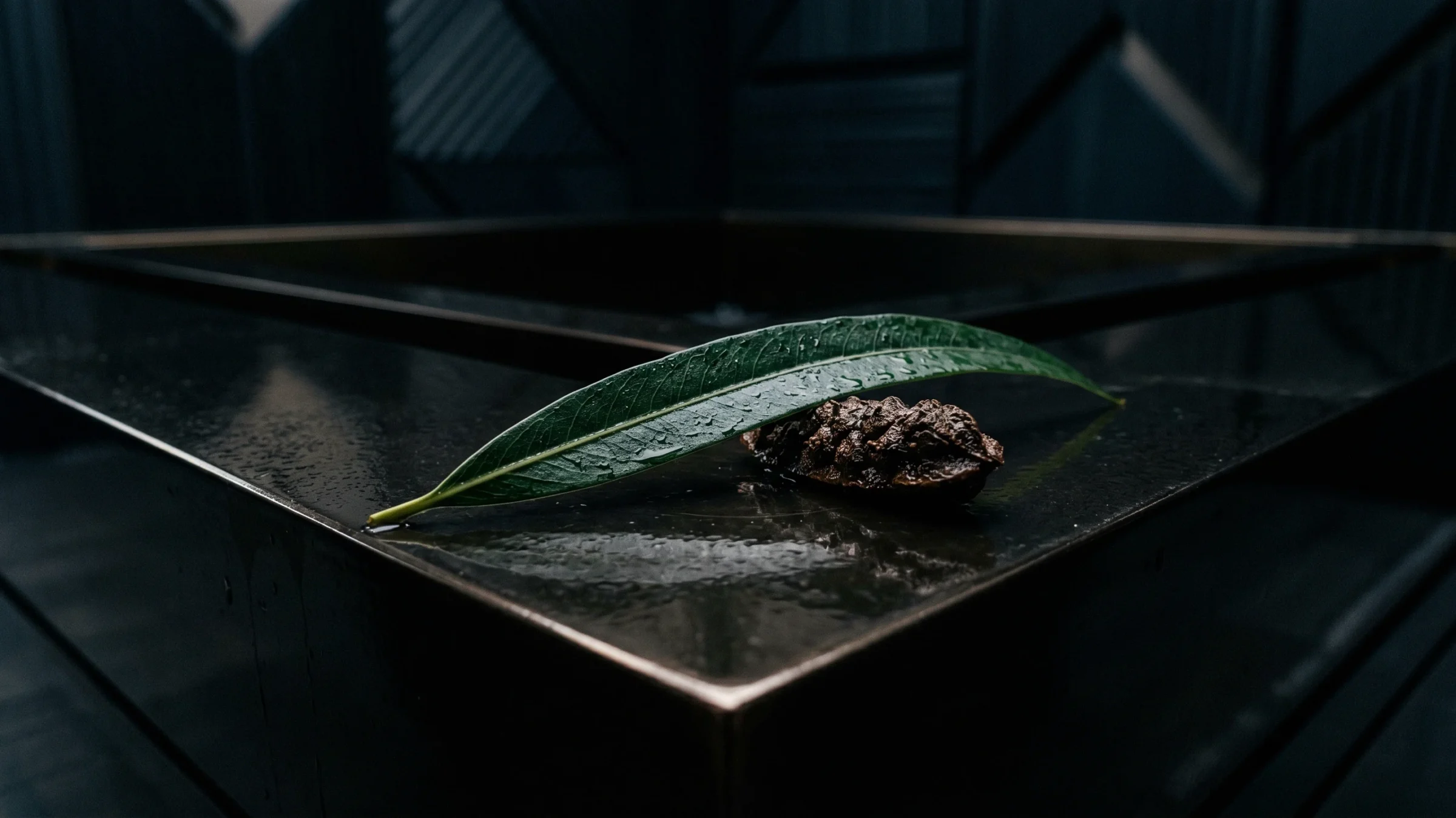 A long green leaf and a small cone lie on the wet top of a bronze-edged block.