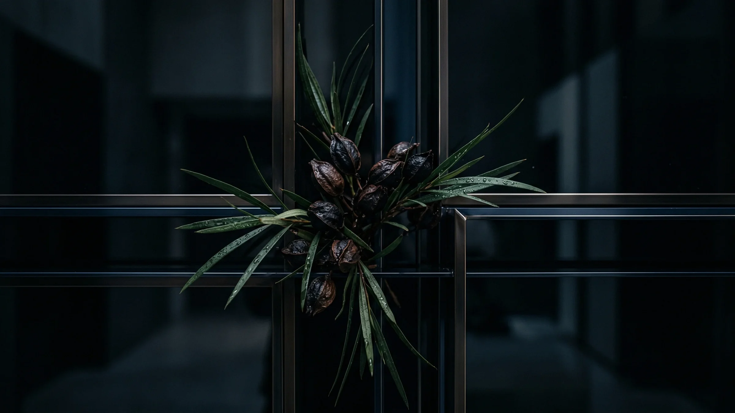A cluster of dark seed pods and narrow leaves fixed where the bars of a metal frame cross.