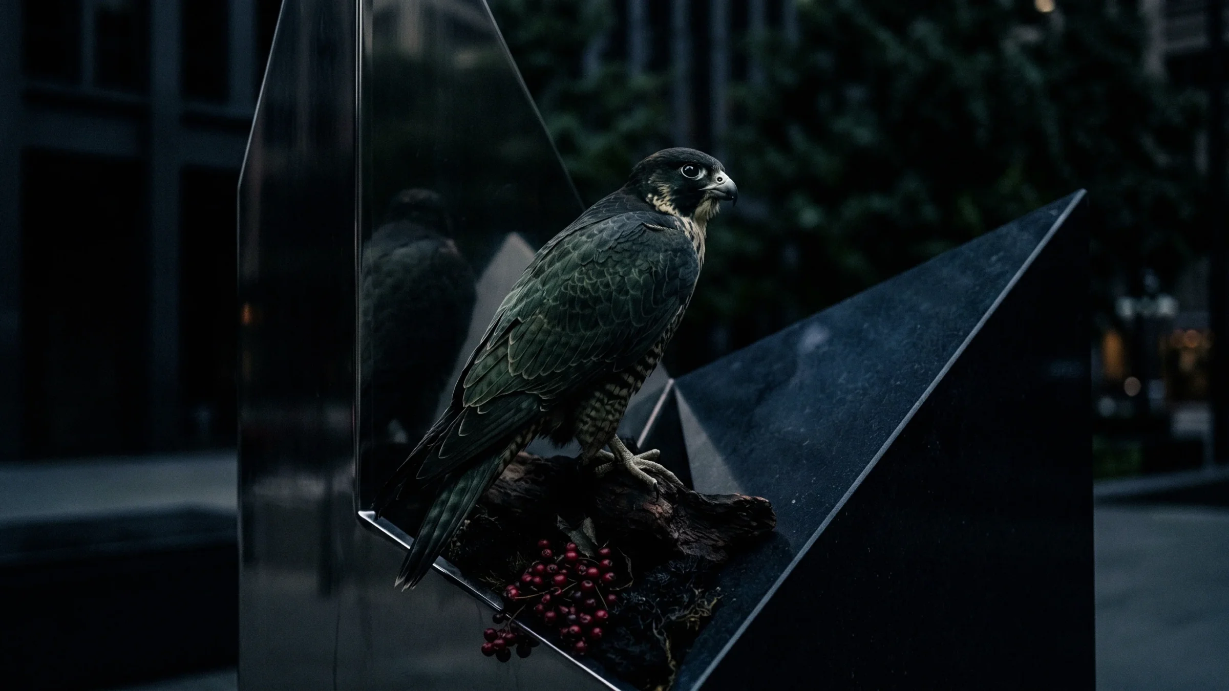 A falcon stands on driftwood beside a dark glass panel, with red berries at its feet.